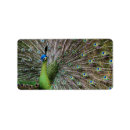 Search for bird feather return address labels Beautiful