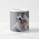 Recherche de marmottes tasses Nature