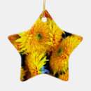 Search for sunflower ornaments Plant