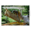 Recherche de ruche photographie Miel