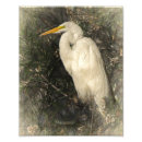Search for water bird art Nature