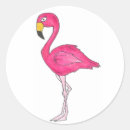 Search for flamingoes stickers Flamingos
