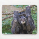 Search for chimp mousepads Wildlife