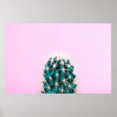 Search for cactus posters Pink