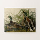 Search for audubon birds puzzles Illustration