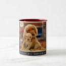 Recherche de labrador retriever tasses Amour