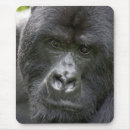 Search for mountain gorilla mousepads Rwanda