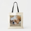 Recherche de shih tzu bags Portrait