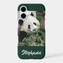 Recherche de chengdu électronique Ours