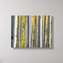 Search for birch tree canvas prints Forest