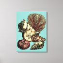 Recherche de dollar art Anémone