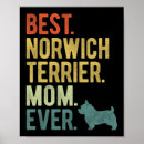 Search for norwich posters Funny