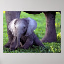 Recherche de africaine posters Éléphant