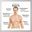 Search for swine Swine flu