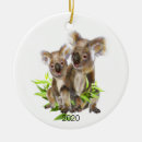Search for cute koala bears ornaments Animal