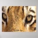 Recherche de un oeil posters Faune