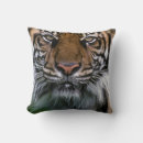 Recherche de tête de tigre coussins Faune