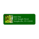 Search for evergreen trees return address labels Nature
