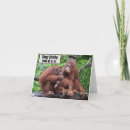 Search for orangutan birthday cards Animals
