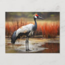 Search for watercolor pictures postcards Wildlife