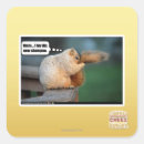 Search for dis stickers I can has cheezburger