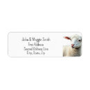 Search for lamb return address labels Animal