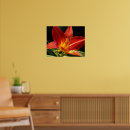 Search for hemerocallis posters Daylily