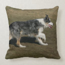 Recherche de de border collie coussins Plomb et pam langrish