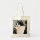 Recherche de charités sacs Chat
