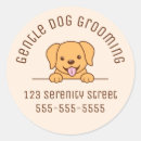 Recherche de yellow dog autocollants Chiot