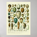 Recherche de adolphe millot posters Vintage