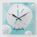 Recherche de dollars de sable horloges Tropical