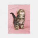 Search for kitten blankets Pet