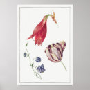 Recherche de vintage tulip posters Illustration