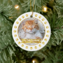 Search for kittens first ornaments Pet