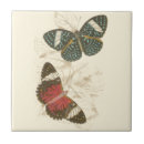 Recherche de papillon carreaux Nature