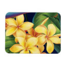 Search for plumeria magnets Flora