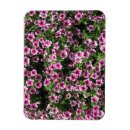 Recherche de fleurs roses magnets Été