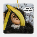 Search for having ornaments Animal