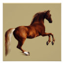 Recherche de cheval anatomie posters Chevaux