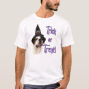 Search for saint bernard clothing Animals