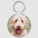 Search for goldendoodle keychains Animal