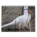 Search for pheasant office supplies Blue