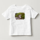 Search for streams tshirts Foliage