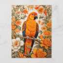 Search for conure postcards Parrot