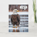 Search for bald eagle birthday cards Bird