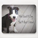 Recherche de puits tapis souris Pitbull