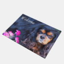 Search for spaniel doormats Welcome