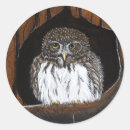 Search for brown owl stickers Wildlife