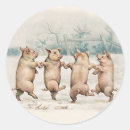 Search for dancing pig stickers Funny